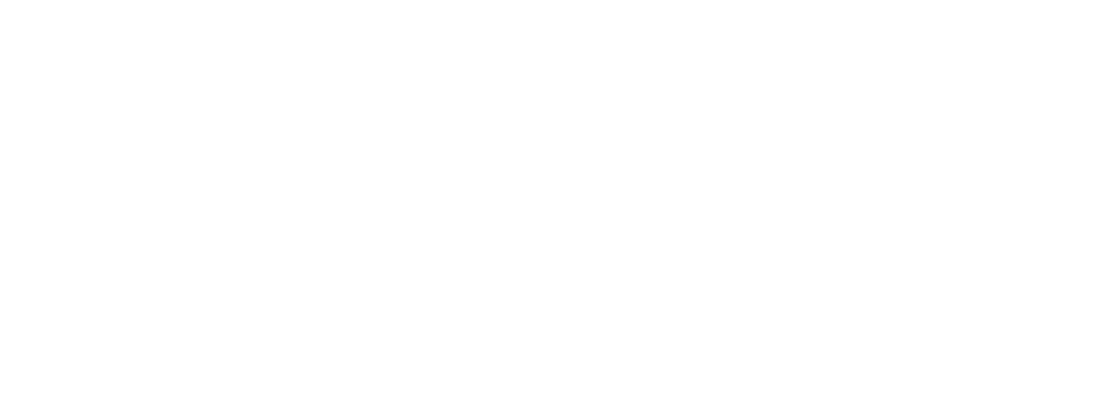 ZD_OFFICIAL LOGO HOR_WHITE